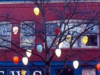 william-sutton-christmas-tree-lights-seattle-washington-usa_u-l-pxpra10.jpg